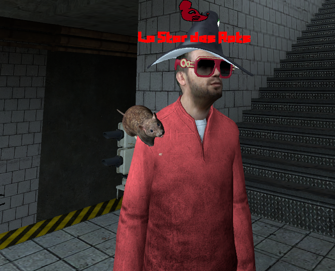 aperçu_titre_custom_v2.png