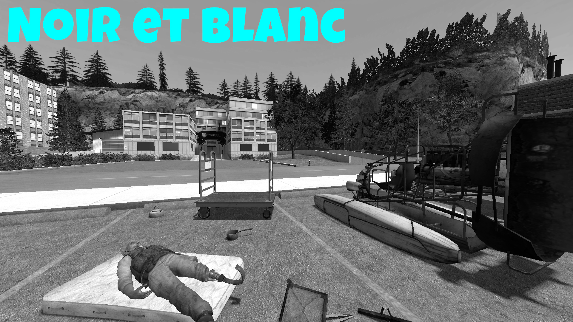 noiretblanc.jpg