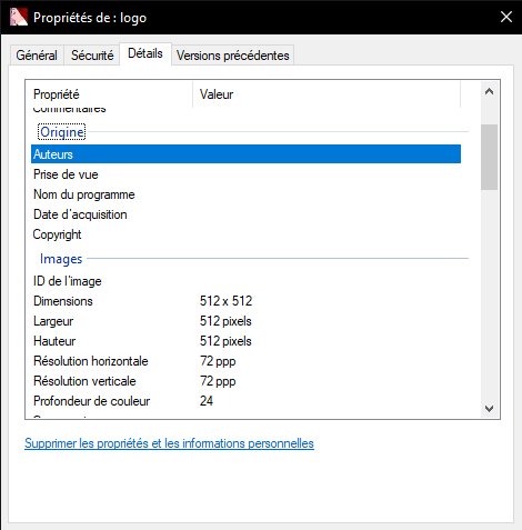 Propriétés de _ logo 11_02_2020 18_58_24.png