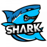 TheShark1223